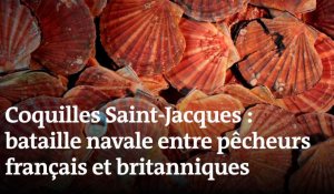 D'où vient la guerre de la coquille Saint-Jacques ?