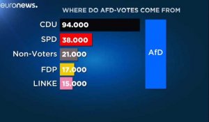 L'AfD, une ascension allemande