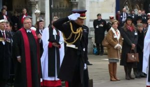 100 ans de l'armistice: le prince Harry au Champ du Souvenir