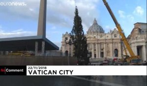 Le Vatican passe en mode Noël