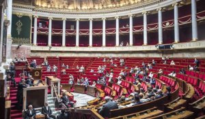 Politique. L'Assemblée vote la possibilité de déposer des plaintes en ligne