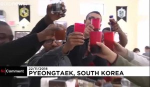 Thanksgiving : des rations améliorées pour les GI stationnés en Corée du Sud