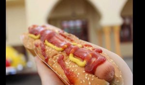 Le Mexique bat le record mondial... de la plus longue ligne de hot-dogs