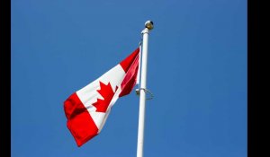 Canada. Le drapeau allemand hissé par erreur pour accueillir... le roi des Belges