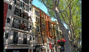 Palma de Majorque. Première ville d'Espagne à interdire la location aux touristes
