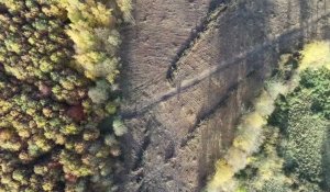 Une coupe rase à Locquignol, en forêt de Mormal, vue du ciel