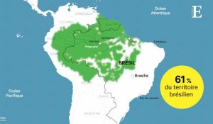 Jair Bolsonaro, une menace pour l'Amazonie ?