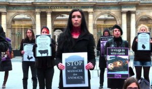 Paris: action de militants vegans contre l'abattage d'animaux