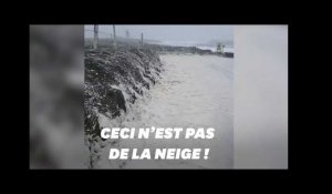 L'Irlande recouverte de blanc (mais ce n'est pas de la neige)