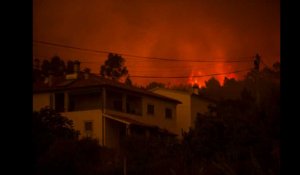 Le Portugal abasourdi après un gigantesque feu de forêt