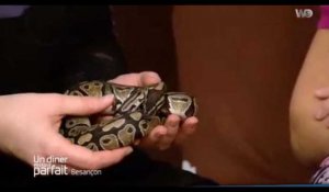 Un dîner presque parfait : Une candidate présente son serpent à ses invités (vidéo)