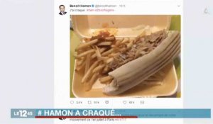 Hamon surclasse Macron avec un kebab sur Twitter ! - ZAPPING ACTU DU 30/06/2017