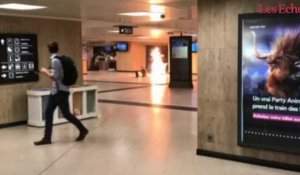 Bruxelles : un témoin raconte l'explosion à la gare centrale 