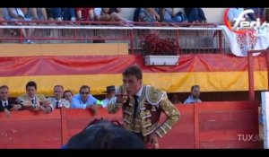 Un matador français gravement blessé, les images chocs de la corrida (vidéo)