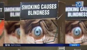 Des paquets de cigarettes pour dégoûter les fumeurs en France ?