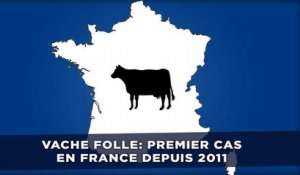Vache folle: Un premier cas décelé en France depuis 2011