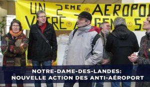 Notre-Dame-des-Landes: Des anti-aéroport investissent le conseil départemental