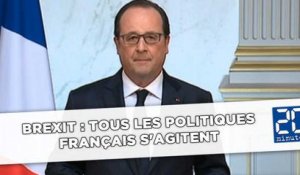 Brexit:  Tous les politiques français s'agitent