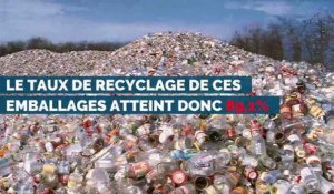 J'y vois clair : championne du recyclage, la Belgique peut-elle aller plus loin ?