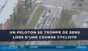 Un peloton se trompe de sens lors d'une course cycliste