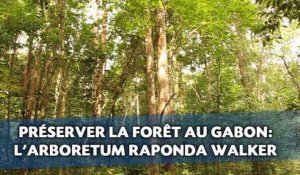 Préserver la forêt au Gabon : L'exemple de l'Arboretum Raponda Walker