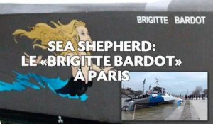 Sea Shepherd: Le «Brigitte Bardot» accoste à Paris