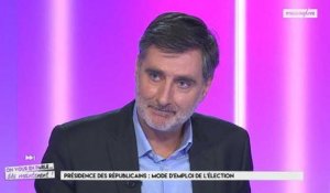 Présidence des Républicains : mode d'emploi de l'élection