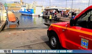 Le 18:18 - Marseille : cette baleine qui a bouché le Vieux-Port cet après-midi !