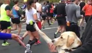 Un supporter un peu particulier au Marathon de New York