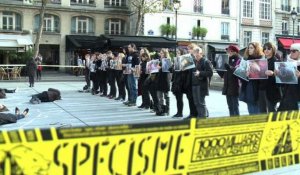 Action de PETA à Beaubourg pour promouvoir le véganisme