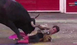 Un torero chargé et gravement blessé par un taureau en pleine corrida (vidéo) 