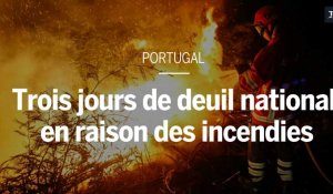Plusieurs centaines d'incendies balaient le Portugal depuis dimanche