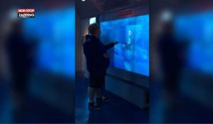 Un requin brise une vitre en attaquant un jeune homme dans un aquarium (Vidéo)