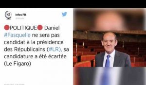 Daniel Fasquelle ne sera pas candidat à la présidence de LR
