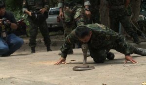 Thaïlande: du sang de cobra au menu des soldats