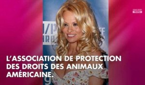 Pamela Anderson : Pour lutter contre la violence en prison, elle a la solution