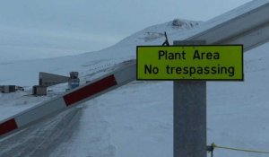 Le réchauffement menace "l'Arche de Noé végétale" en Arctique