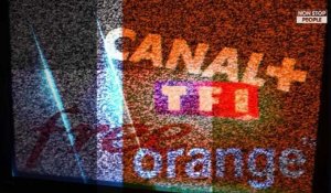 Les Enfoirés 2018 : Michael Youn interpelle Canal + dans sa guerre avec TF1