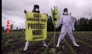 Bande-annonce "OGM - Mensonges et vérités"