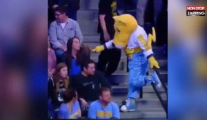 NBA : Quand une mascotte tente par tous les moyens de séduire une spectatrice (Vidéo)