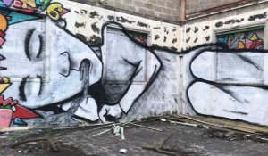 Destruction d'un mur street art à Laval