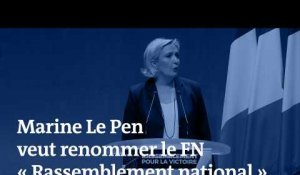 « Rassemblement national » : Marine Le Pen explique son choix de nouveau nom pour le Front national