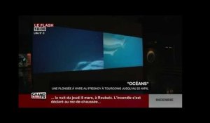 Océans: une plongée à vivre au Fresnoy à Tourcoing