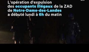 Notre-Dame-des-Landes : l'opération d'expulsion est en cours