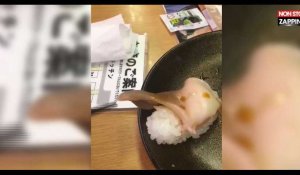 Il s'apprête à manger un sushi lorsqu'il se met à bouger dans son assiette (Vidéo)