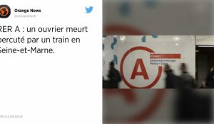 RER A. Un employé mortellement percuté par un train en Seine-et-Marne.