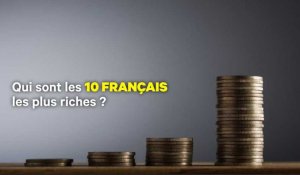 Milliardaires en euro ou en dollar: qui sont les 10 Français les plus riches ?