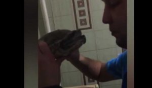 Un homme fait un bisou à une tortue et le regrette vite (Vidéo)