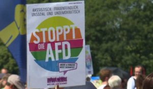 Les manifestants anti-AfD marchent dans Berlin