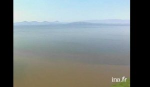 Kenya : Le lac Naivasha